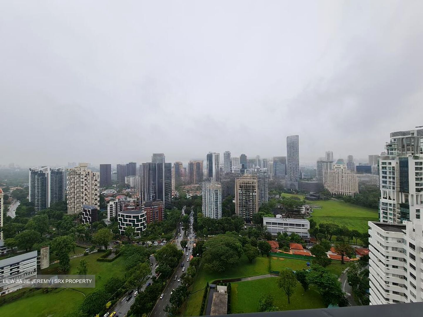 Irwell Hill Residences (D9), Apartment #460285471